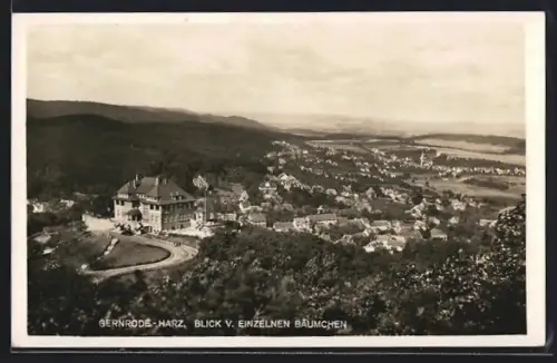 AK Gernrode /Harz, Blick vom Einzelnen Bäumchen auf den Ort