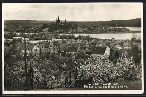 AK Werder a. H., Panorama zur Baumblüte von der Bismarckhöhe