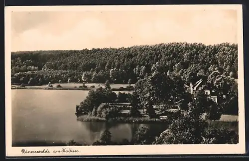AK Binenwalde, Blick zum Ort am Kalksee