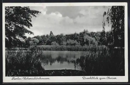 AK Berlin-Hohenschönhausen, Durchblick zum Obersee