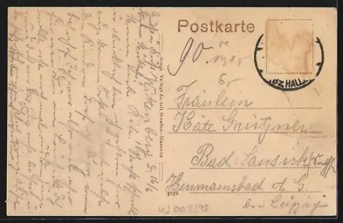 AK Wittenberg / Elbe, Partie in den Anlagen mit neuem Schwanenteich