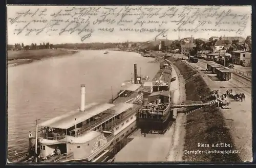 AK Riesa a.d. Elbe, Dampfer-Landungsplatz aus der Vogelschau