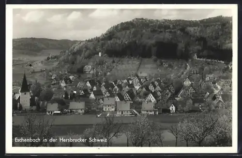 AK Eschenbach /Hersbrucker Schweiz, Ortsansicht mit Kirche und umliegenden Hügeln