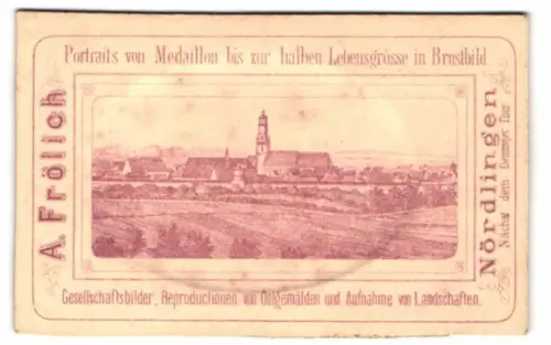 Fotografie A. Frölich, Nördlingen, Blick nach der Stadt mit Kirche