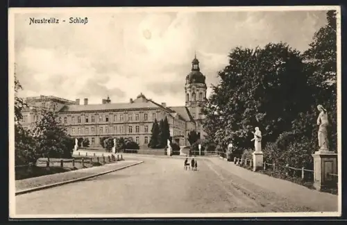 AK Neustrelitz, Blick auf das Schloss mit Strassenpartie