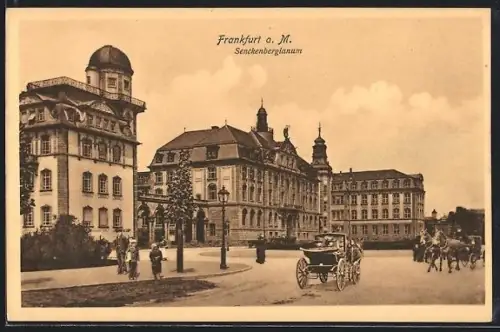 AK Frankfurt-Westend, Kutschen am Senckenbergianum