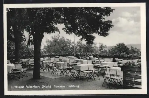 AK Falkenberg /Mark, Terrasse der Karlsburg mit Restaurant
