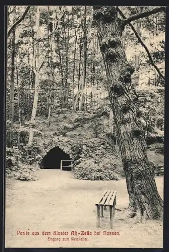 AK Nossen, Partie am Kloster Alt-Zella, Eingang zum Weinkeller