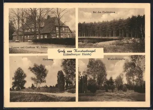 AK Konstantinopel / Rehlingen, Gasthaus W. Fehler, Fischteiche, Heideweg, Wacholderpartie