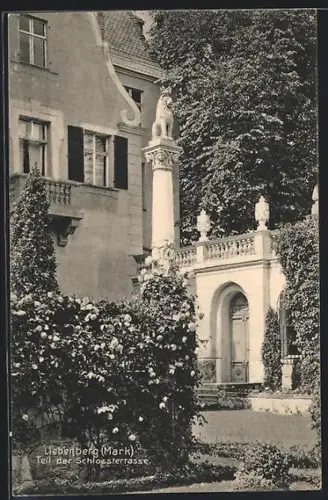 AK Liebenberg /Mark, Teil der Schlossterrasse