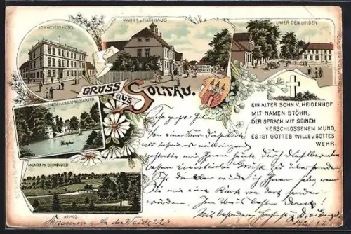 Lithographie Soltau, Markt mit Rathaus, J. D. A. Meyers Hotel, Unter den Linden