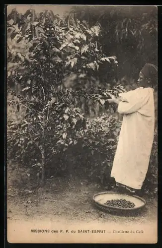 AK Afrikanischer Junge erntet Kaffeebohnen, Cueillette du Café