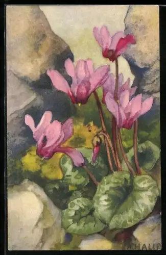 Künstler-AK Anna Haller: Rosafarbene Blumen zwischen Steinen