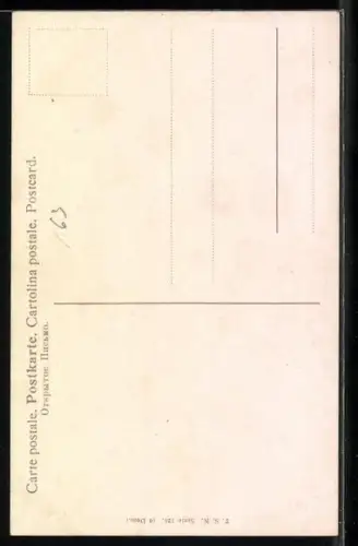 Künstler-AK Alfred Schönian: Weisses Pferd mit roter Nelke am Geschirr