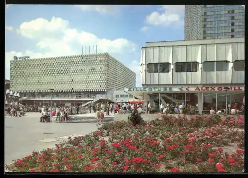 AK Berlin, am Alexanderplatz