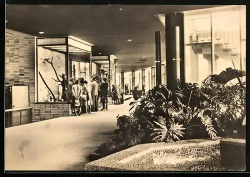 AK Berlin, Tierpark, Alfred-Brehm-Haus, Ostflügel, Innenansicht