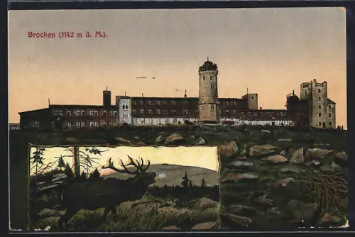 AK Brocken, Brockenhotel, Hirsch im Wald