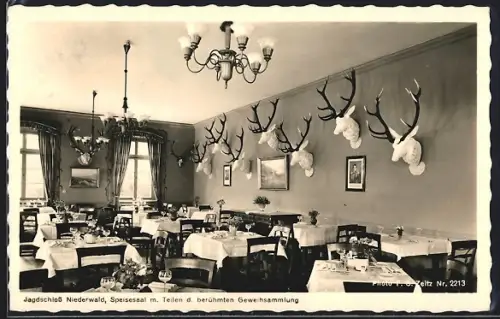 AK Rüdesheim am Rhein, Wald-Hotel Jagdschloss Niederwald, Geweihsammlung