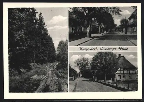 AK Wietzendorf /Lüneburger Heide, Strassenansicht, Fachwerkhaus, Waldweg
