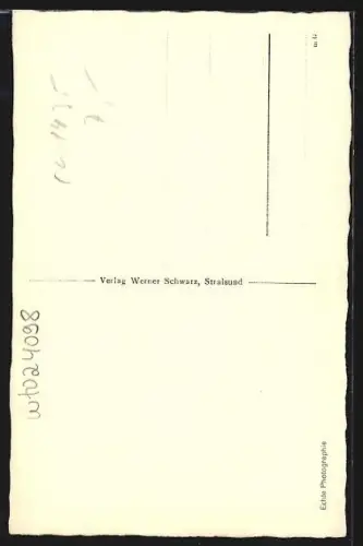 AK Stralsund, Mittelschiff der Nikolaikirche