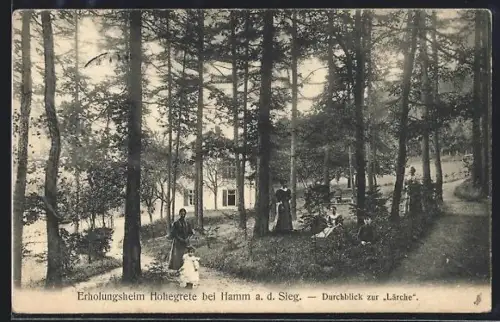 AK Hamm a. d. Sieg, Erholungsheim Hohegrete, Durchblick zur Lärche