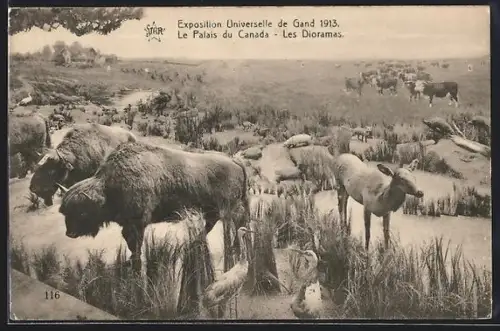 AK Gand, Exposition Universelle 1913, Le Palais du Canada, Les Dioramas