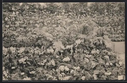 AK Gand, Exposition Universelle 1913, Floralies d`Eté