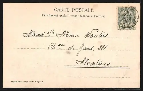 AK Liége, Exposition Universelle 1905, Vue dur le parc de Plaisir