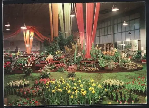 AK Berlin, Internationale Grüne Woche 1981, Frühlingsblumen in der Halle