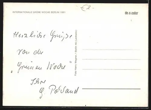 AK Berlin, Internationale Grüne Woche 1981, Frühlingsblumen in der Halle