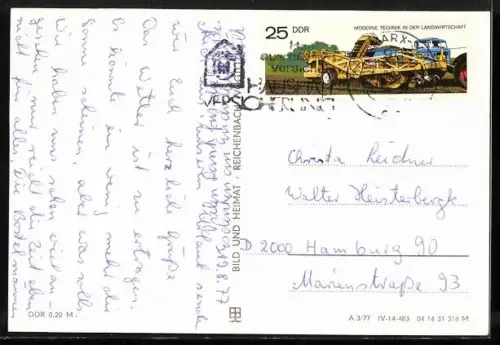 AK Karl-Marx-Stadt, Stadthalle, Affe im Pflanzenhaus, Gruppenplastik, Inneres grosser Saal