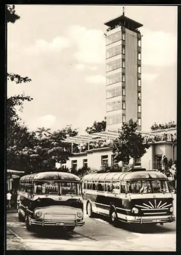 AK Berlin, Müggelturm mit Bussen