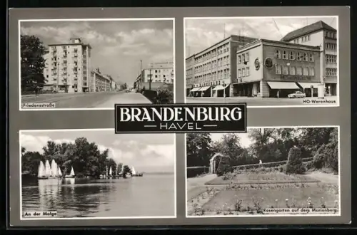 AK Brandenburg (Havel), Friedensstrasse, an der Malge, HO-Warenhaus, Rosengarten auf dem Marienberg