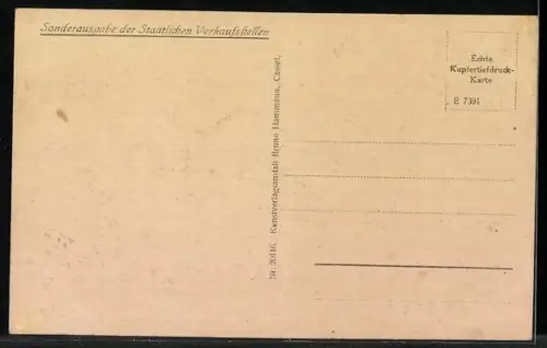 AK Wilhelmshöhe, Schloss mit Gartenanlage