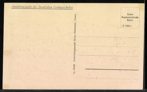 AK Wilhelmshöhe, Löwenburg mit Umgebung