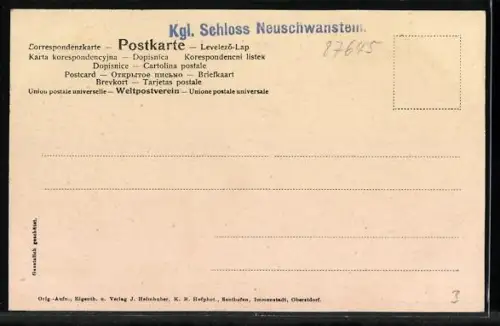 AK Neuschwanstein, Blick auf das Schloss und Umgebung