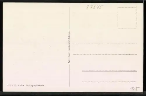 AK Neuschwanstein, Blick auf das Schloss