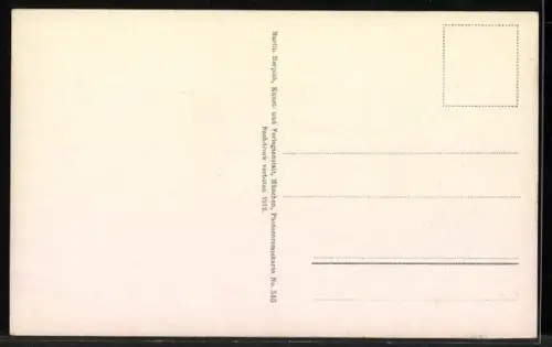 AK Neuschwanstein, Königliches Schloss mit Blick auf Hohenschwangau