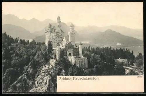 AK Neuschwanstein, Blick auf das Schloss und Umgebung