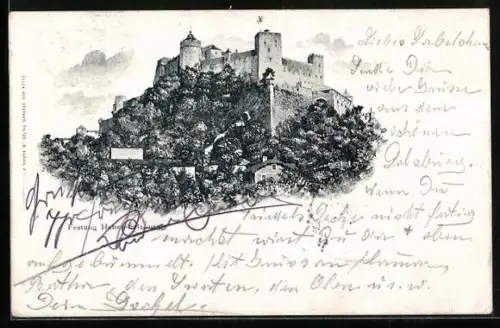 AK Hohen-Salzburg, Festung mit umliegendem Wald