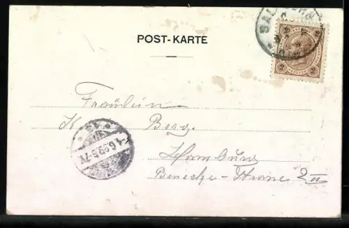 AK Hohen-Salzburg, Festung mit umliegendem Wald