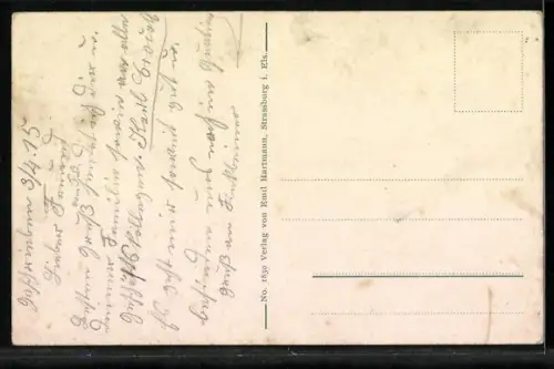 AK Hohkönigsburg, Burg mit umgebendem Wald