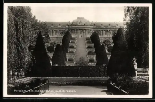 AK Potsdam, Schloss Sanssouci m. d. Terrassen