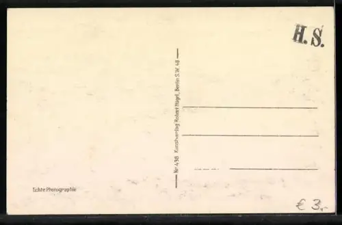 AK Potsdam, Schloss Sanssouci m. d. Terrassen