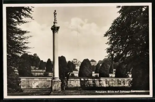 AK Potsdam, Blick auf das Schloss Sanssouci