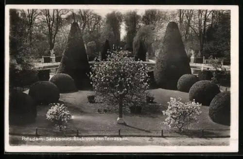 AK Potsdam, Schloss Sanssouci, Blick von den Terrassen