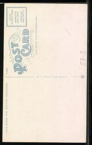 AK The Barrel Cactus, the Flower of the Desert