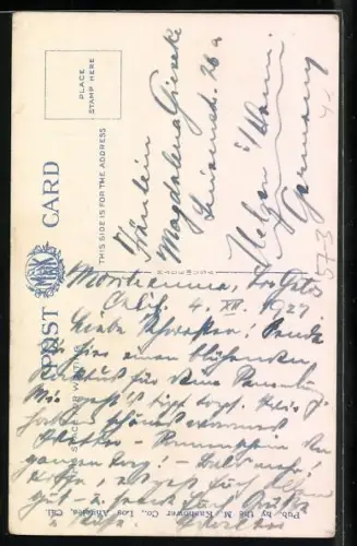 AK California, Cactus in Bloom