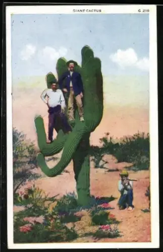 AK A Giant Cactus