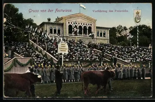 AK München, Oktoberfest, Vorführung des Preisviehs auf der Festwiese